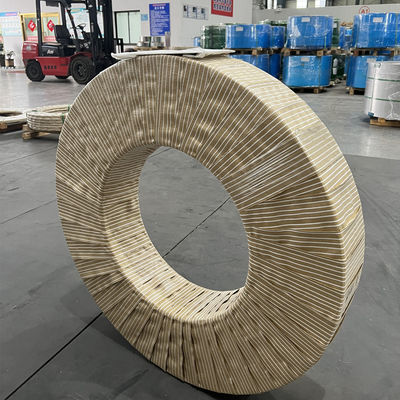 SUS 301 CSP-H Full Hard Stal Coil Strip 0.1-3.0mm Z Slit Edge